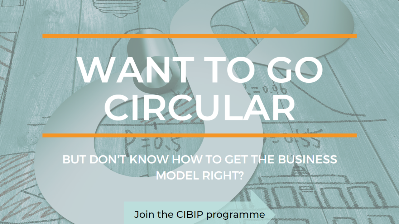 Circular Business Innovation Program